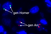 A New Perspective on Memory Mechanisms